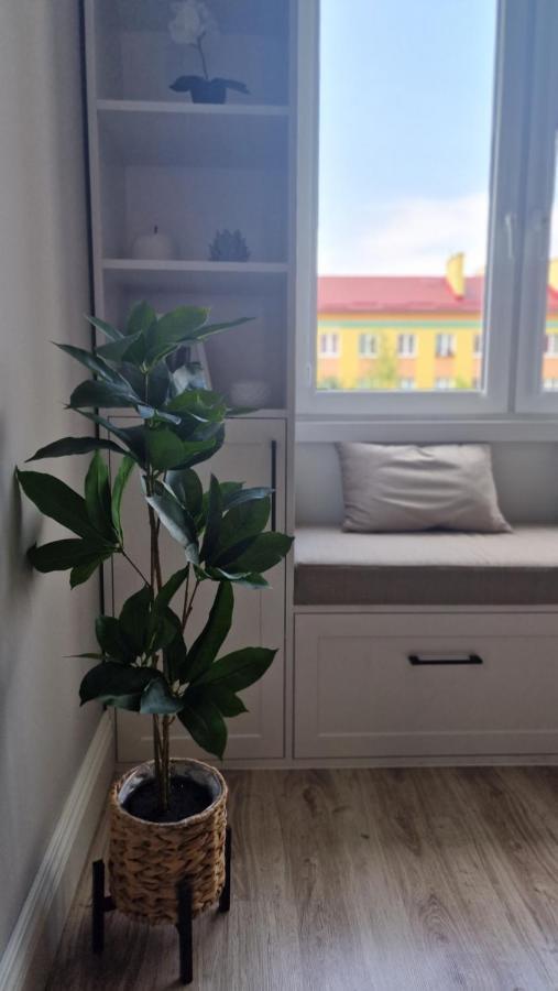 Appartamento Alfama Garden Grudziądz Esterno foto